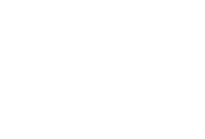 Watertaxi-wit.png